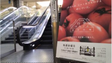 東京駅直結「丸の内行幸マルシェ」に出店してきました！